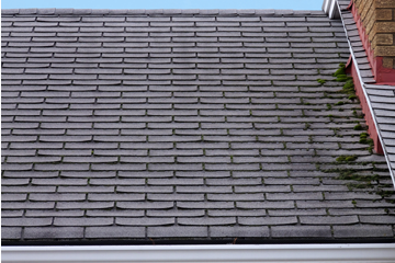 Shingle Roofing