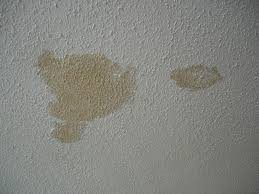 ceiling spot