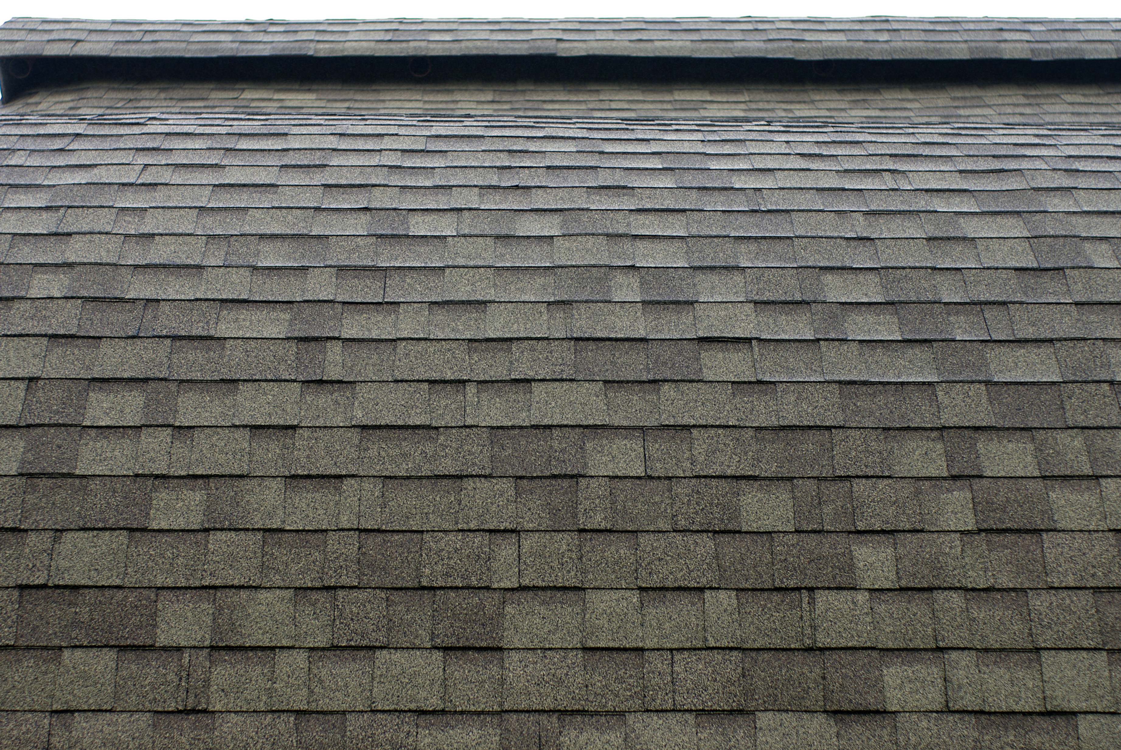 shingle roofing expert